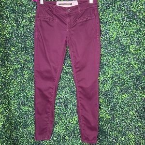 Daughters of the Liberation Purple Skinny Pants size 2 super soft